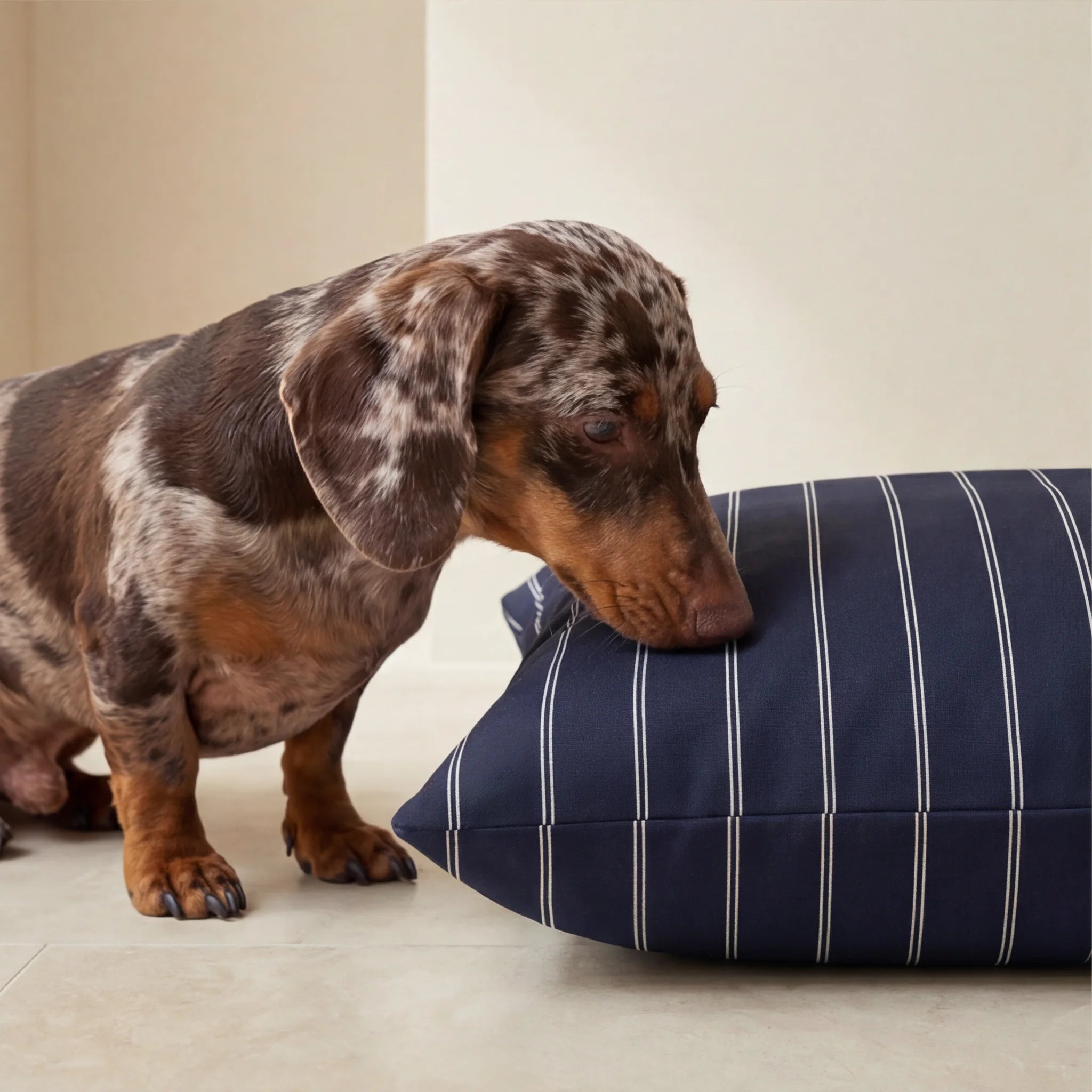 Stain-resistant Pet Bed Cover Max Marino