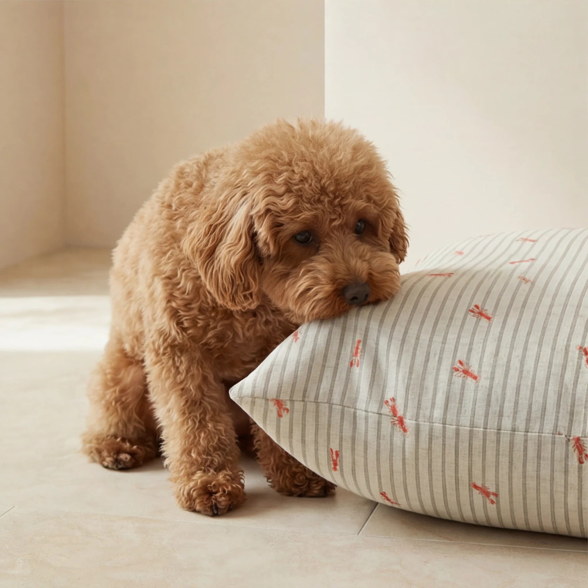 Stain-resistant removable pet bed Milu
