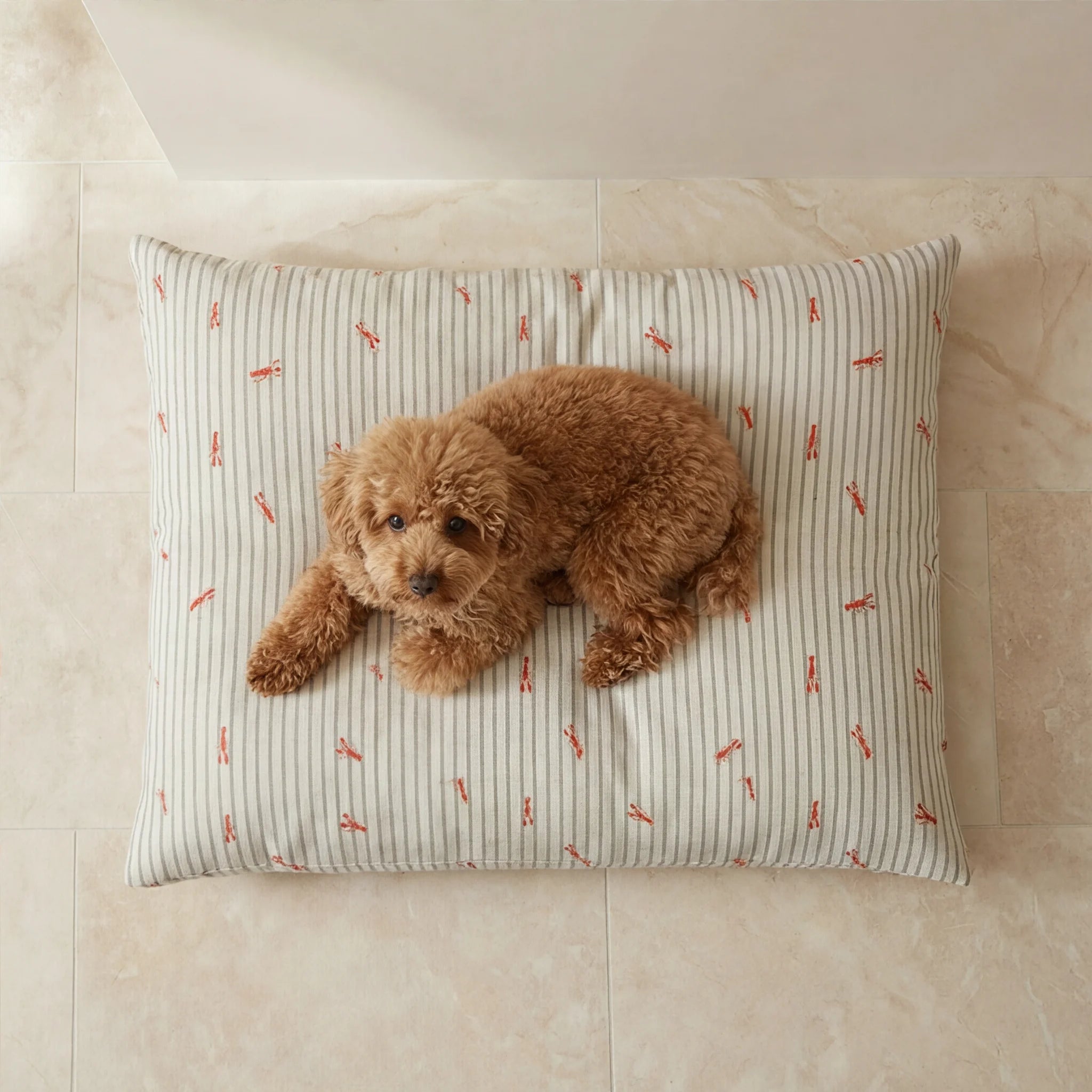 Stain-resistant removable pet bed Milu