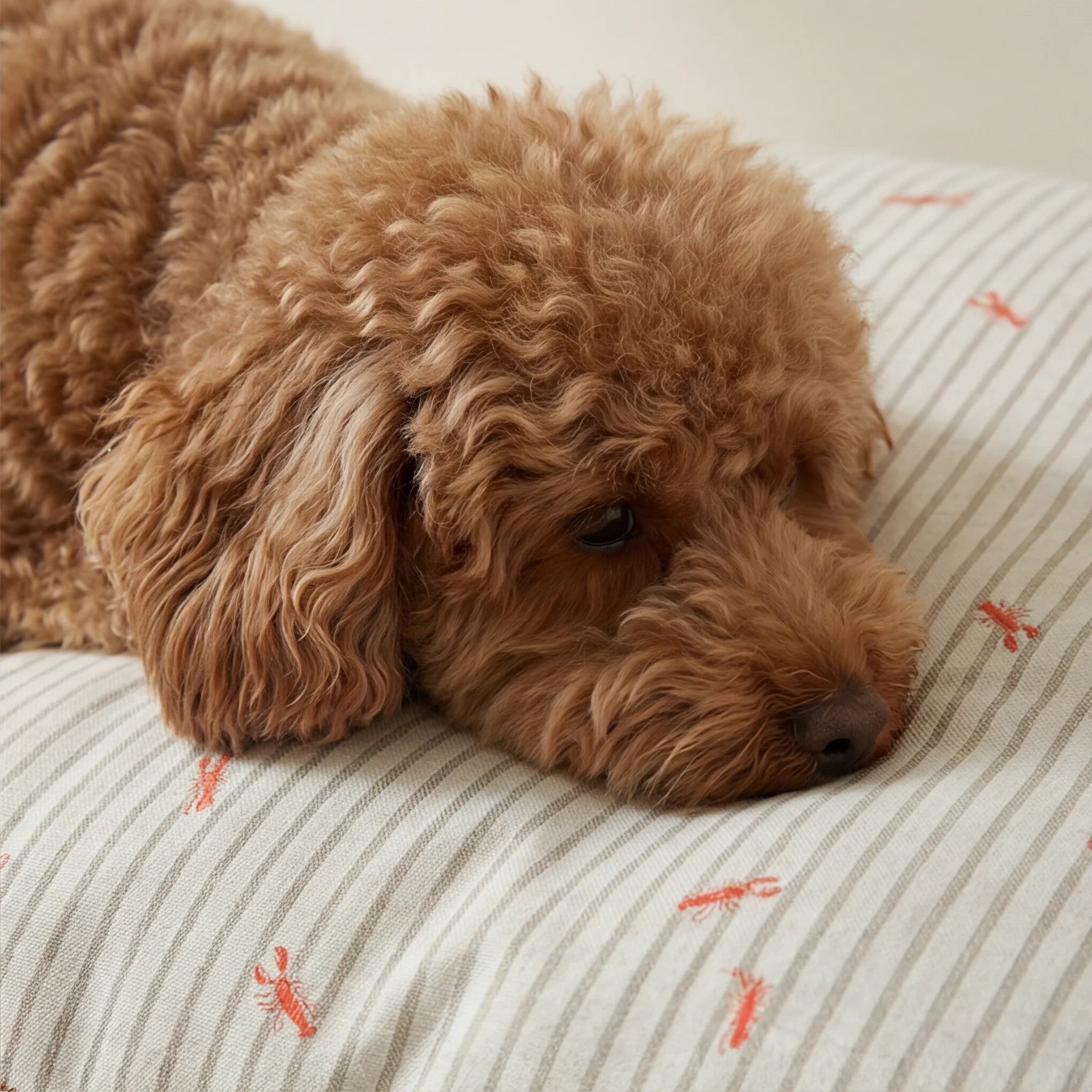 Milu stain-resistant pet bed cover