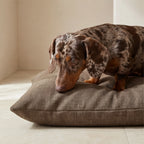 Stain-resistant removable pet bed Mocha Brown