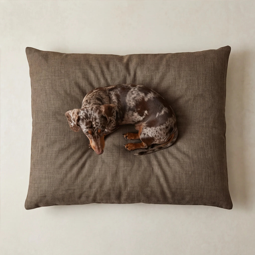 Stain-resistant removable pet bed Mocha Brown
