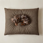 Stain-resistant removable pet bed Mocha Brown