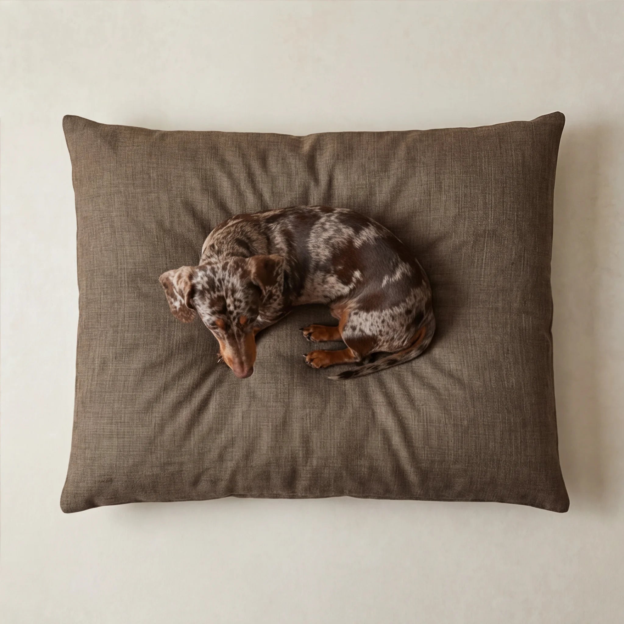 Stain-resistant removable pet bed Mocha Brown