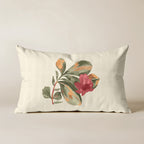 Moixent C 100% Cotton Cushion Cover 30x50 cm