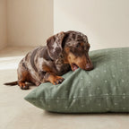 Monina Dusky 8 Stain-Resistant Pet Bed Cover