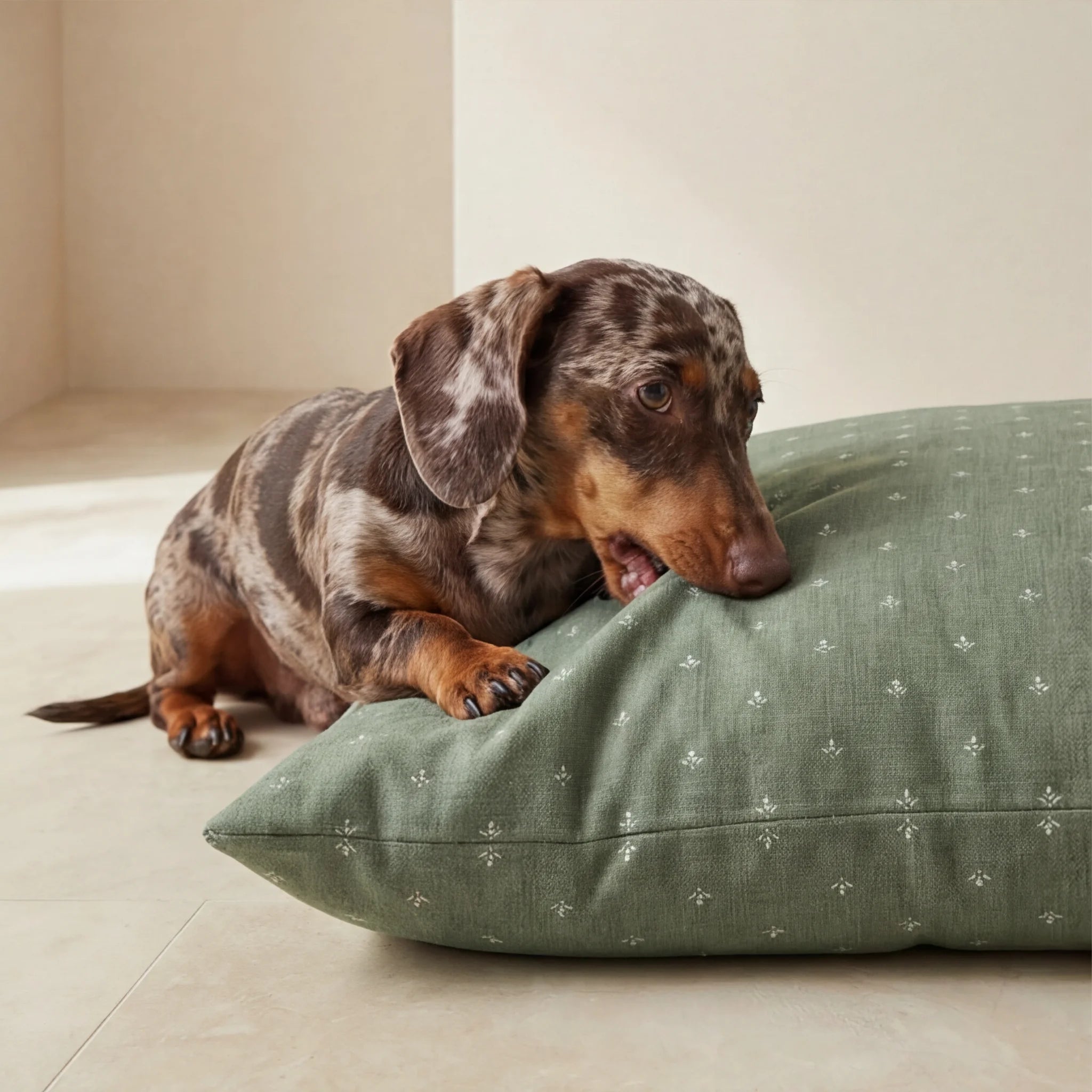 Lit pour animaux déhoussable anti-taches Monina Dusky 8