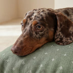 Monina Dusky 8 Stain-Resistant Pet Bed Cover
