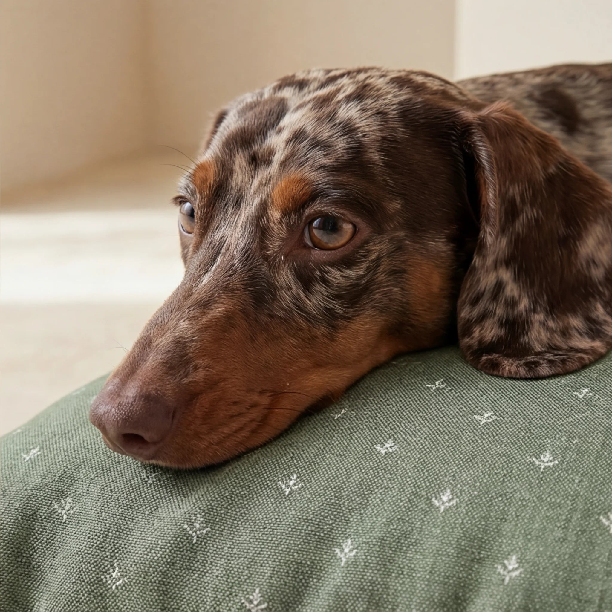 Monina Dusky 8 Stain-Resistant Pet Bed Cover