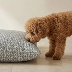 Monina Soft 10 Stain-Resistant Removable Pet Bed