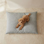 Monina Soft 10 Stain-Resistant Removable Pet Bed