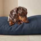 Anti-stain pet bed cover Nua