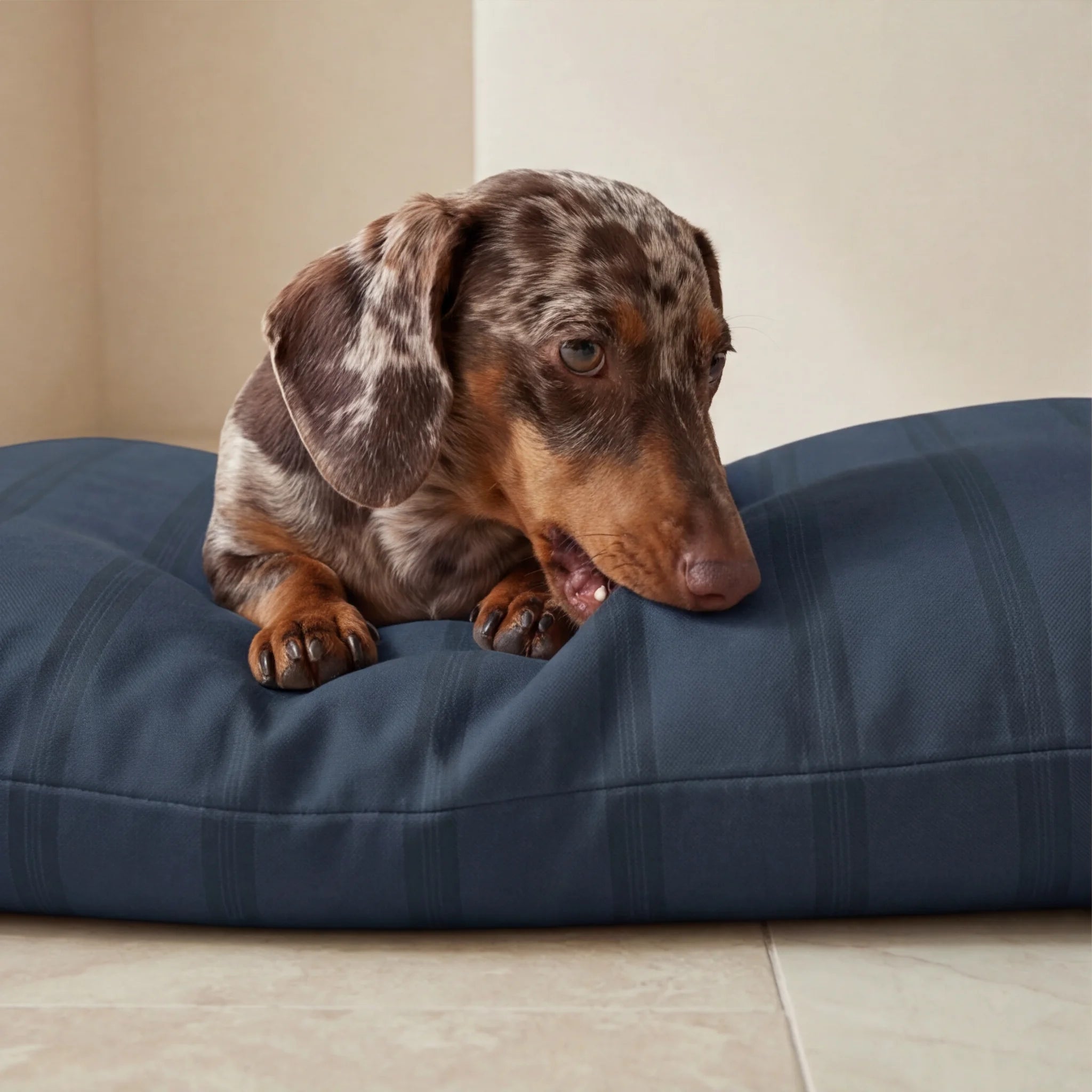 Nua stain-resistant pet bed with removable cover