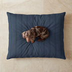 Anti-stain pet bed cover Nua