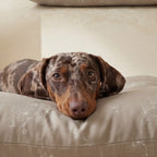 Orba A Brown Stain-Resistant Removable Pet Bed