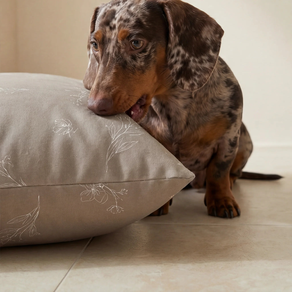 Orba A Brown Stain-Resistant Removable Pet Bed