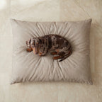 Orba A Brown Stain-Resistant Removable Pet Bed