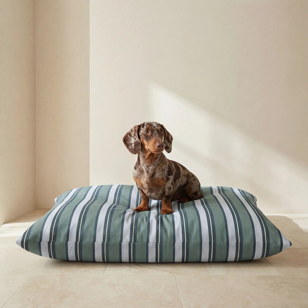 Orelis Balance Stain-Resistant Removable Pet Bed