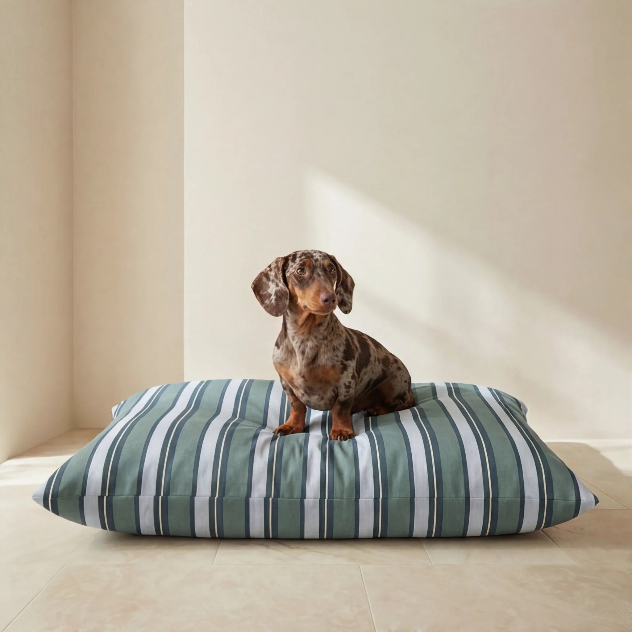 Orelis Balance Stain-Resistant Removable Pet Bed