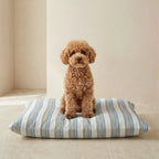 Removable stain-resistant pet bed Orelis Soft