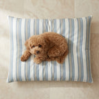 Removable stain-resistant pet bed Orelis Soft