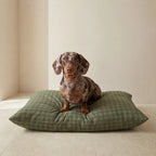 Removable anti-stain pet bed Pancho Green