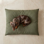 Removable anti-stain pet bed Pancho Green