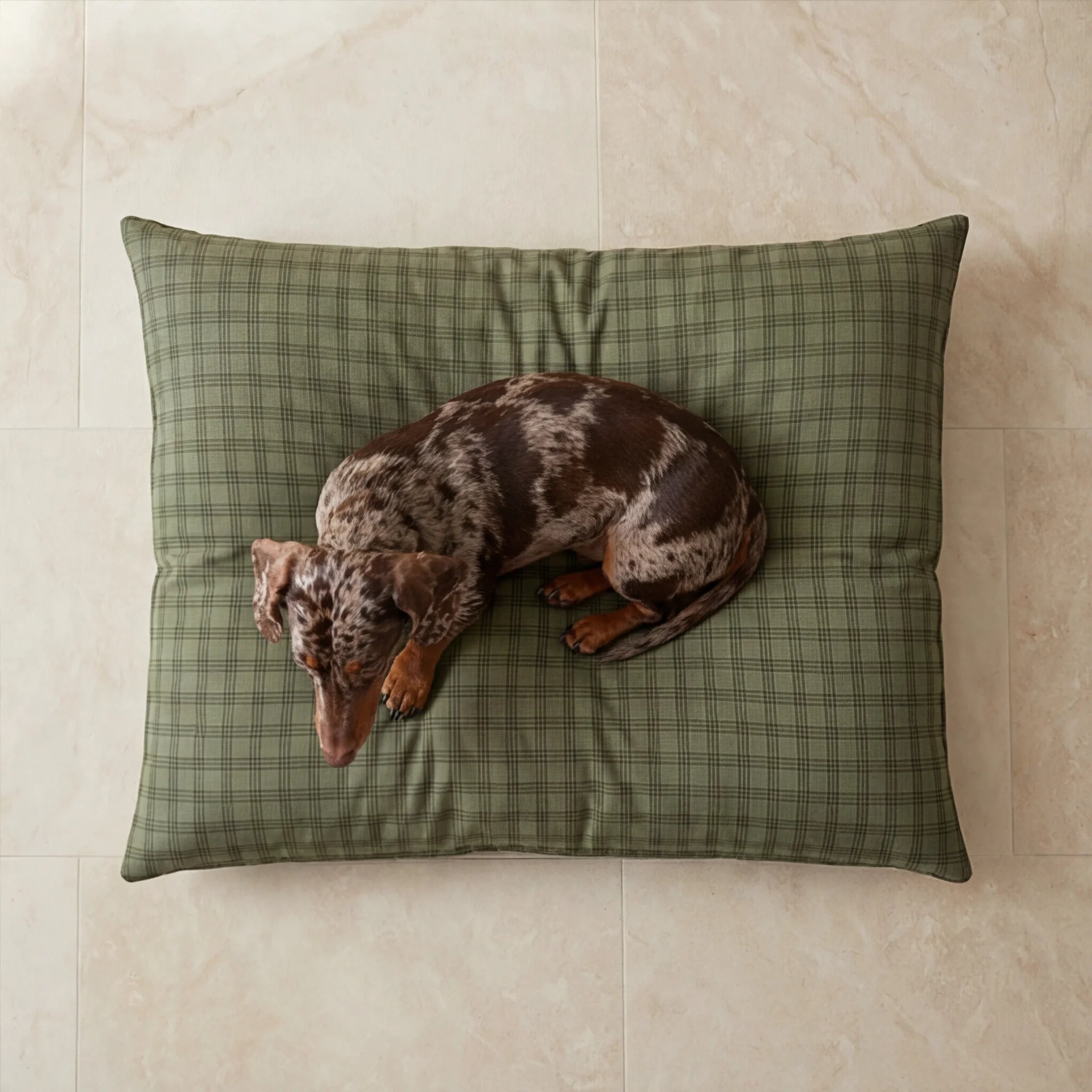 Removable anti-stain pet bed Pancho Green