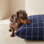 Stain-resistant removable pet bed Pumba Marino
