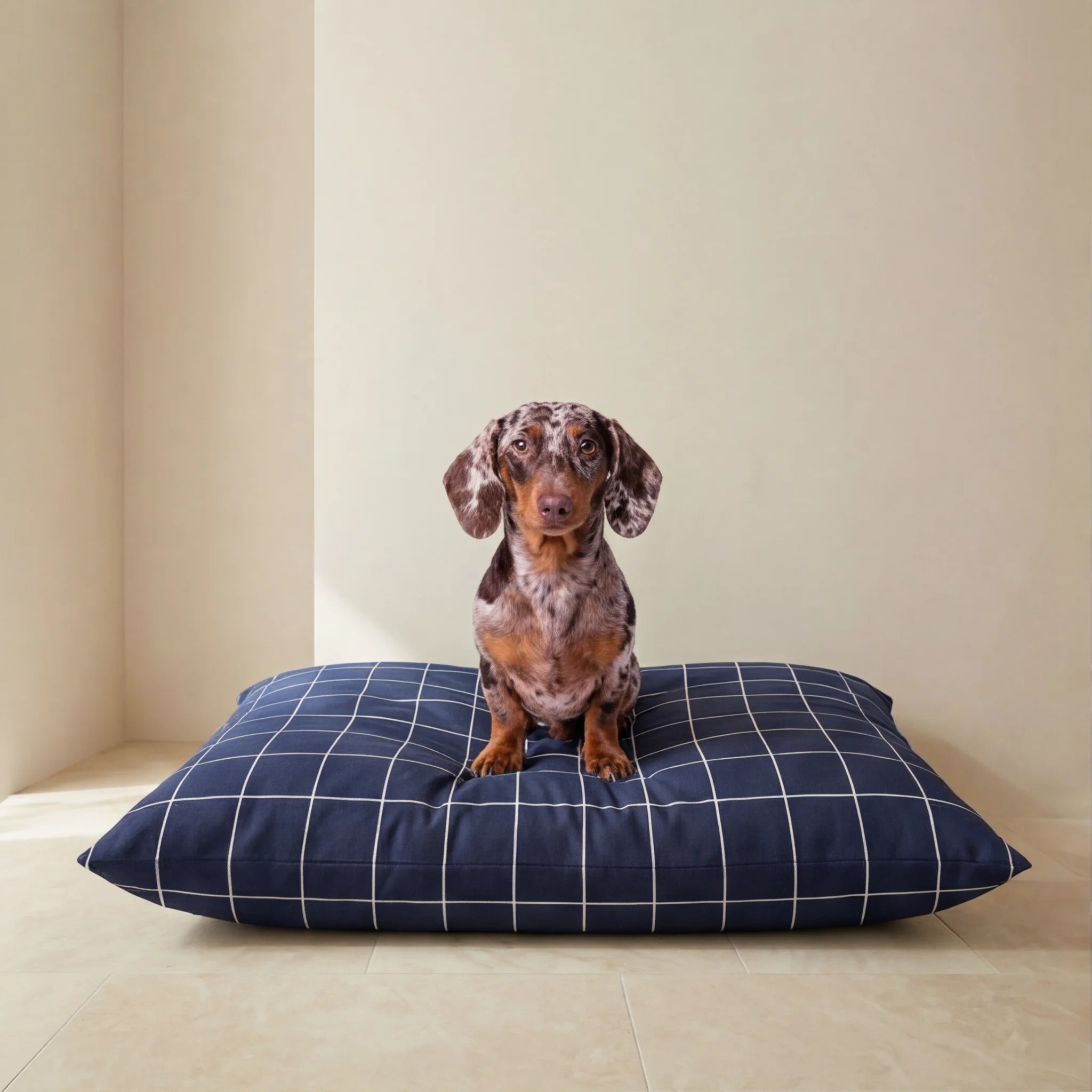 Lit pour animaux de compagnie déhoussable anti-taches Pumba Marine