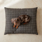 Stain-Resistant Removable Pet Bed Pumba Brown