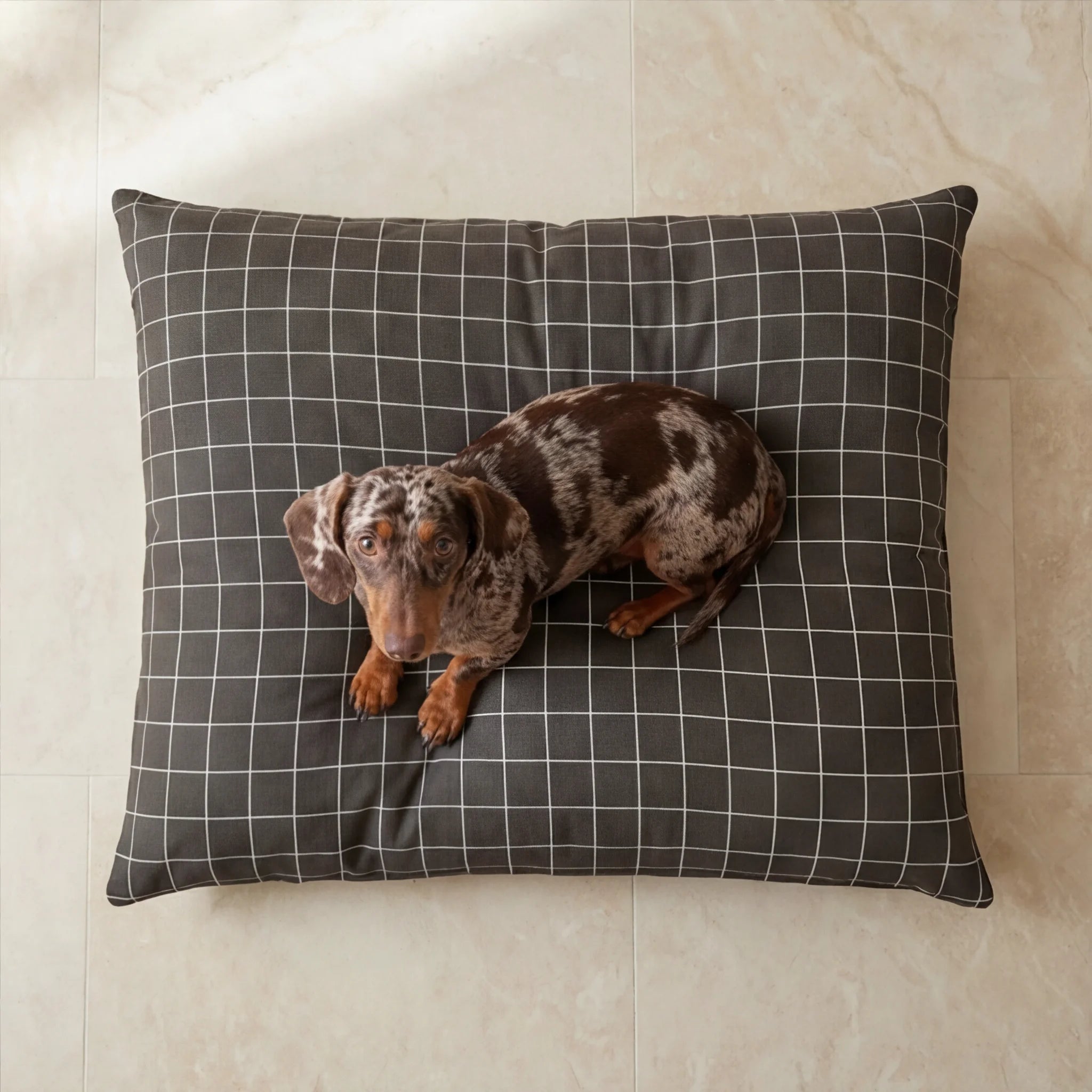 Lit déhoussable et anti-taches Pumba Marron pour animaux de compagnie