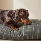 Pumba Green Stain-Resistant Removable Pet Bed