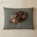 Pumba Green Stain-Resistant Removable Pet Bed