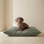 Pumba Green Stain-Resistant Removable Pet Bed