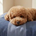 Stain-resistant Pet Bed Cover Romani Blue