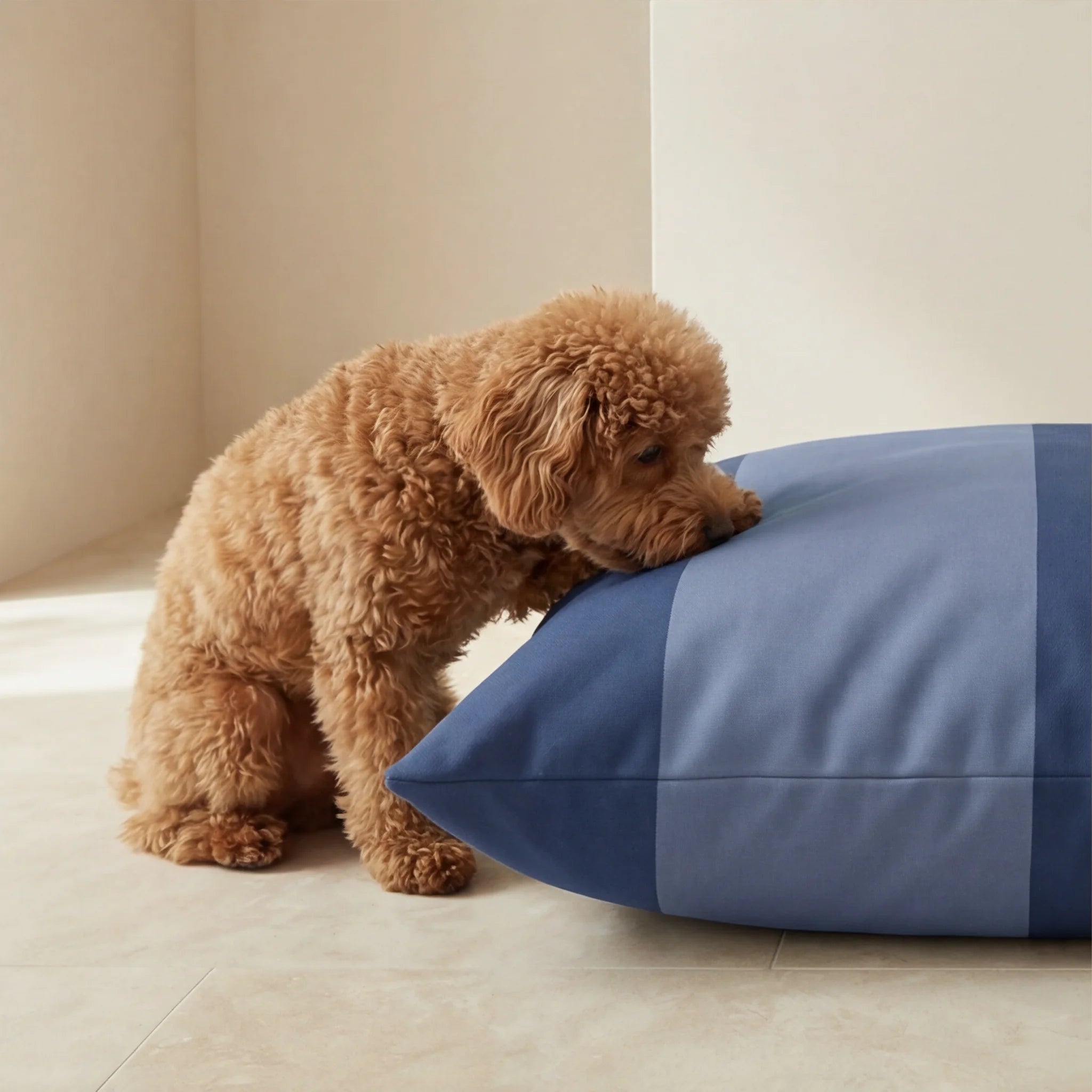 Lit pour animaux déhoussable et antitache Romani Bleu