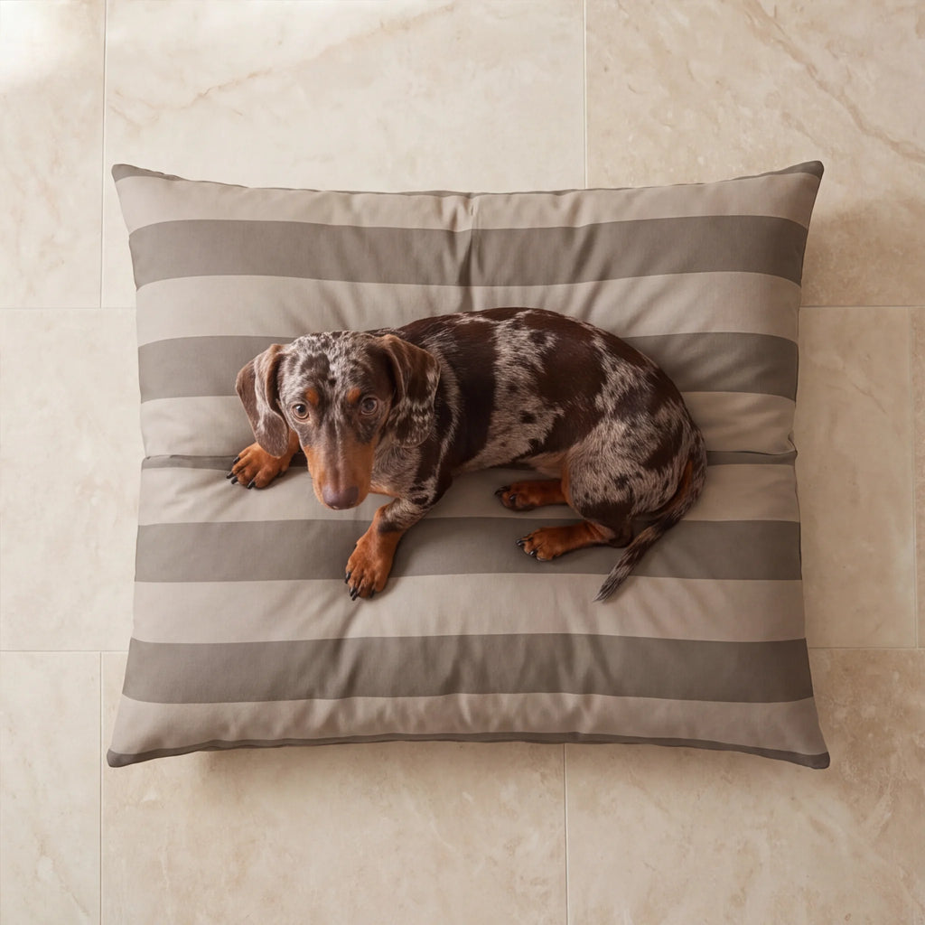 Vista cenital de cama para perro antimanchas marrón con teckel tumbado encima