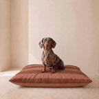 Teckel sentado sobre cama para perro desenfundable antimanchas de rayas teja 