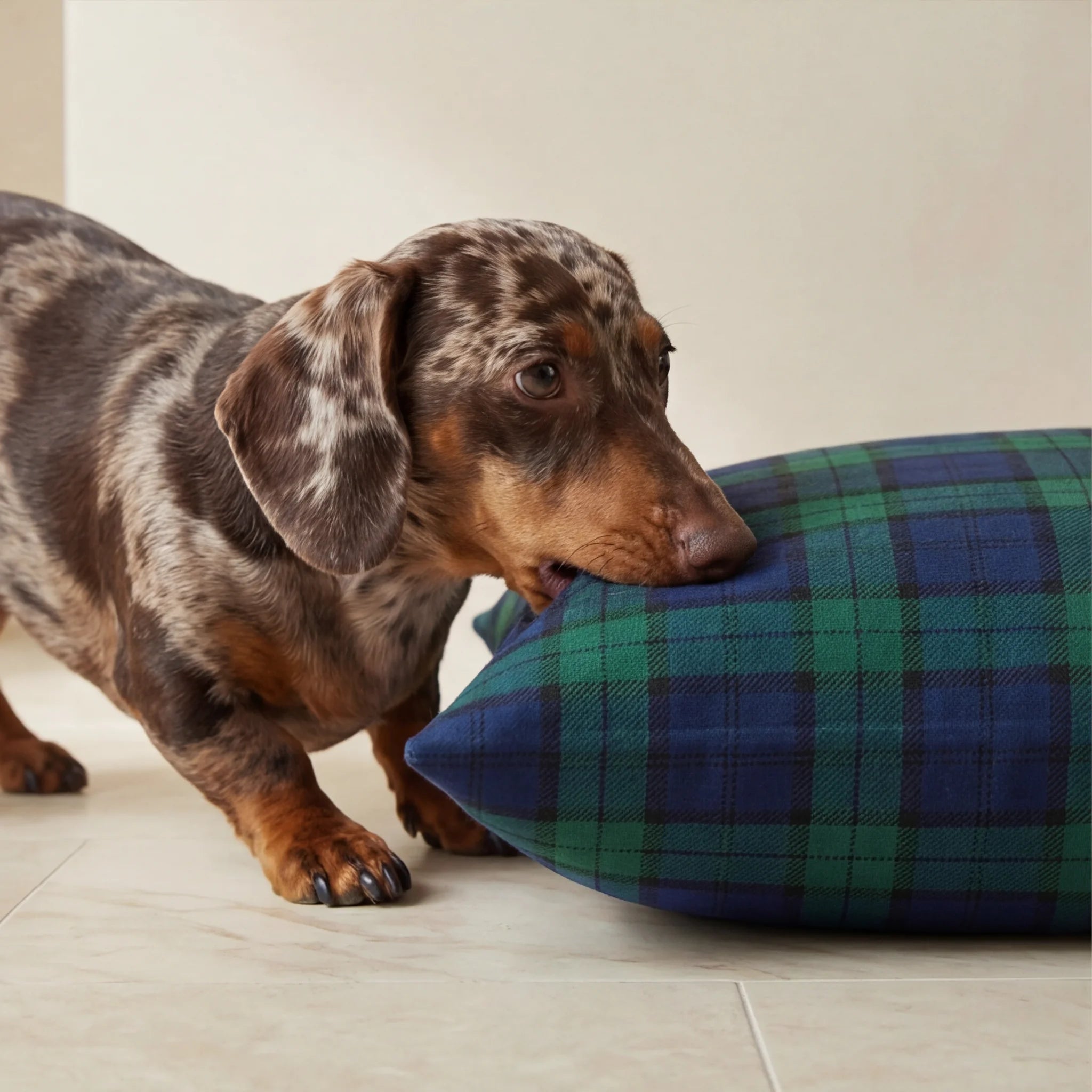 Lit pour animaux déhoussable et antitache Romo