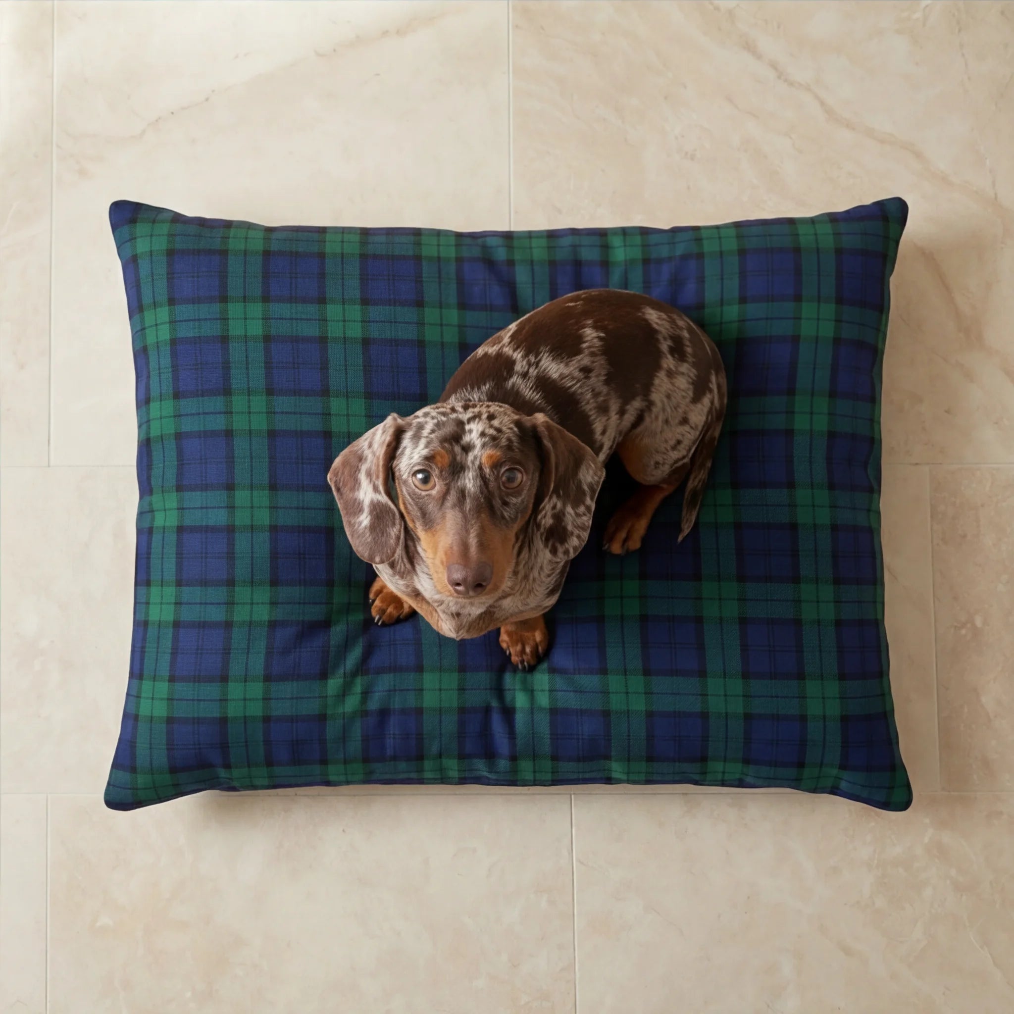 Lit pour animaux déhoussable et antitache Romo