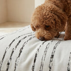 Removable stain-resistant pet bed Rufus