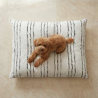 Removable stain-resistant pet bed Rufus