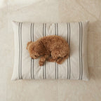 Sargaret Stain-Resistant Removable Pet Bed