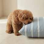 Removable stain-resistant pet bed Scott Blue