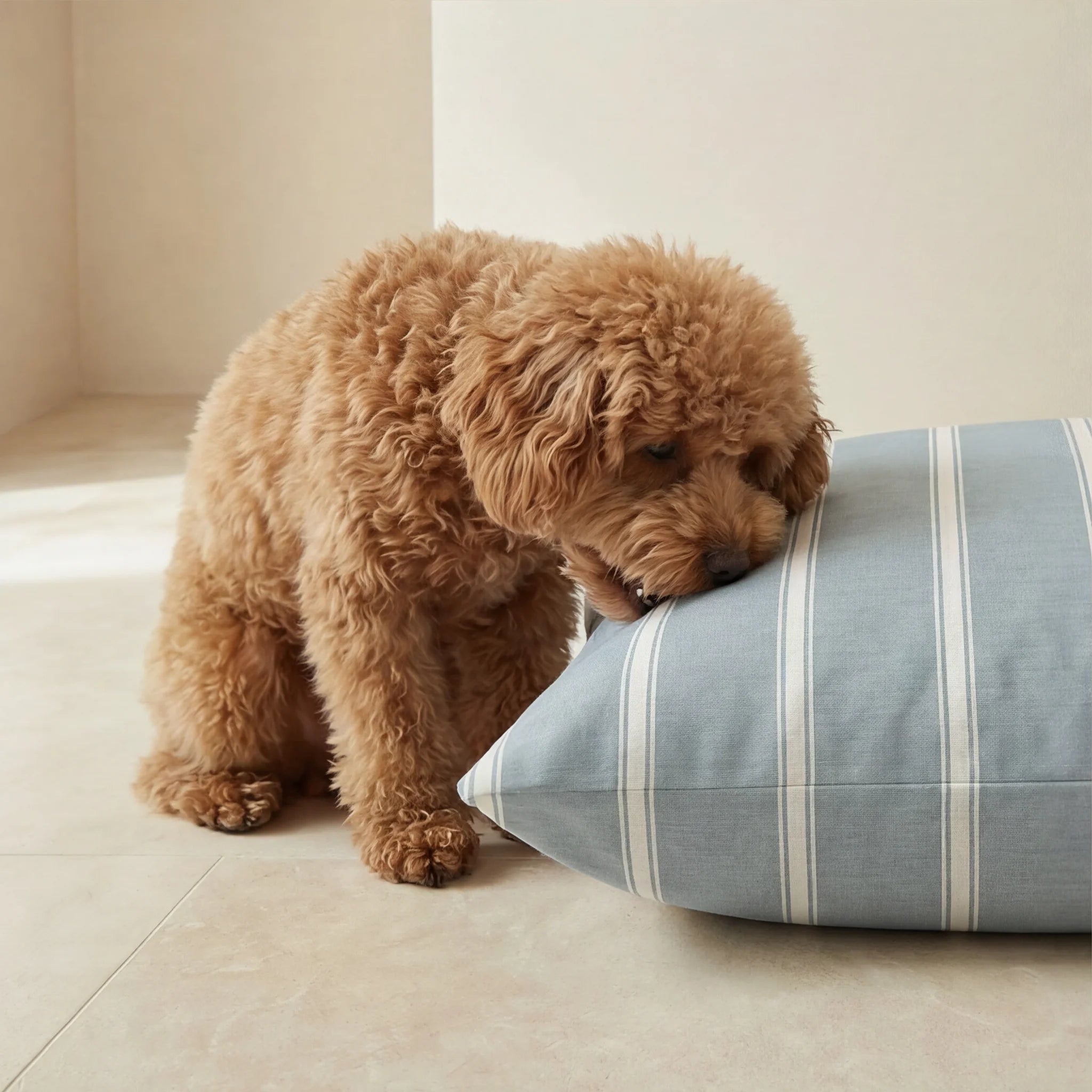 Lit pour animaux de compagnie déhoussable antitaches Scott Bleu