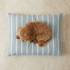 Removable stain-resistant pet bed Scott Blue