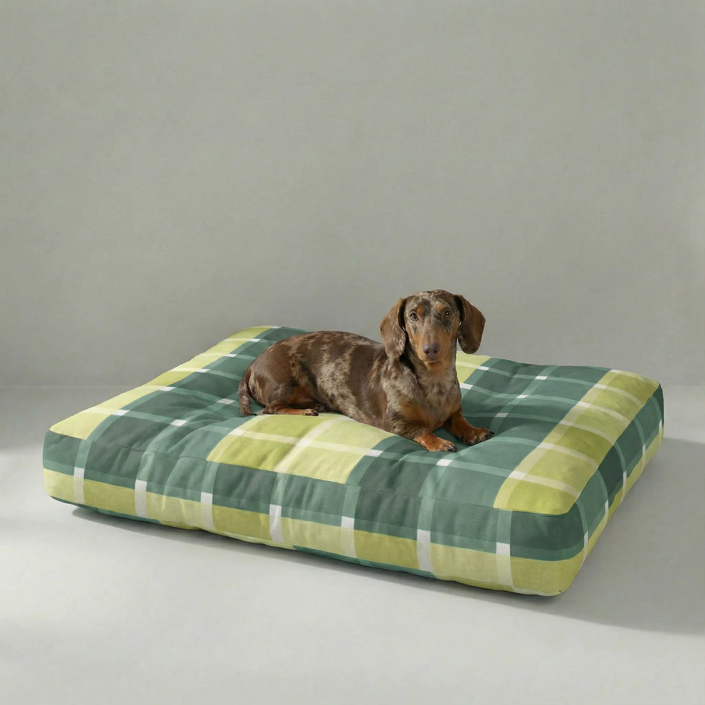 Lit pour animaux de compagnie Sutton Emerald à rembourrage épais et finition anti-taches