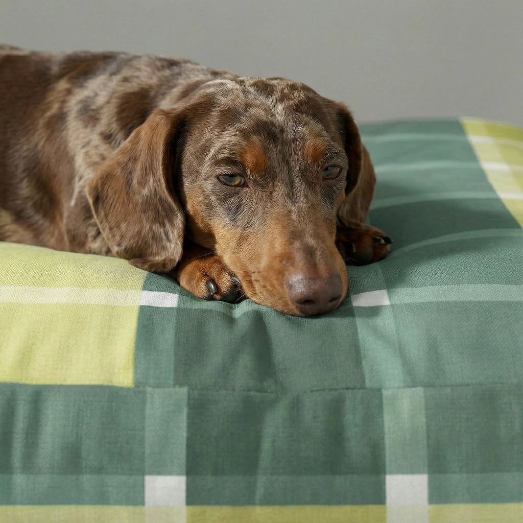 Lit pour animaux de compagnie Sutton Emerald à rembourrage épais et finition anti-taches
