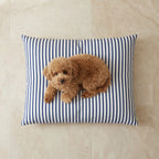 Stain-resistant removable pet bed Tavernes
